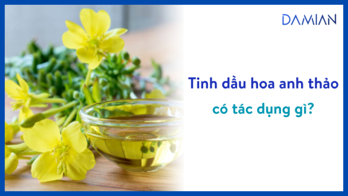 tinh dầu hoa anh thảo có tác dụng gì