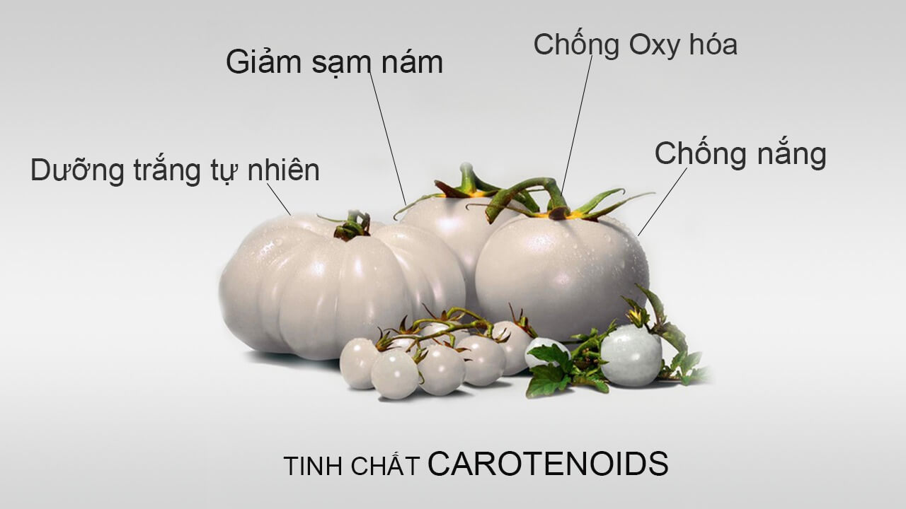 công dụng của cà chua trắng