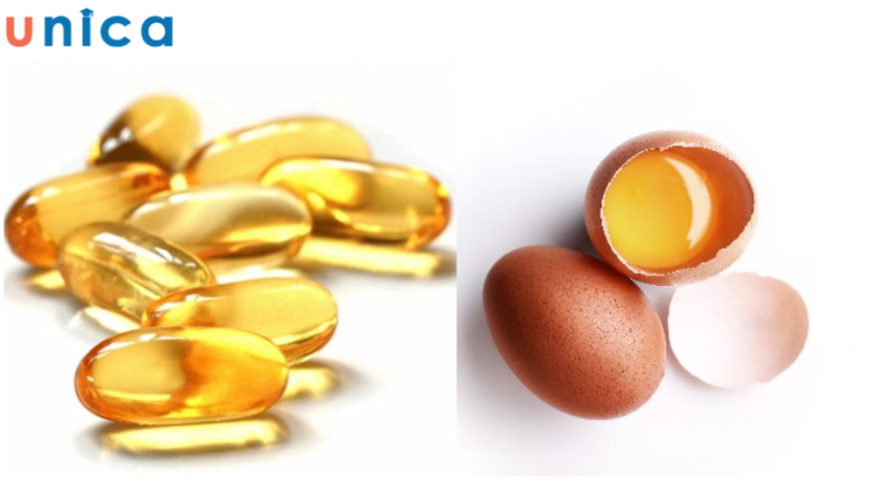 Trứng gà và vitamin E