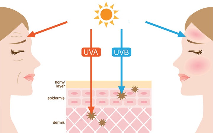 tác động của tia UV