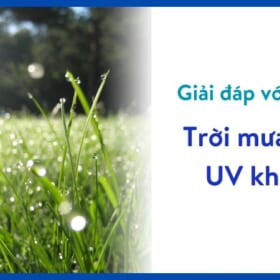 Trời mưa có tia UV không?